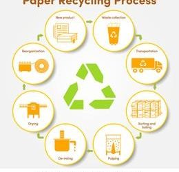 paper packaging market