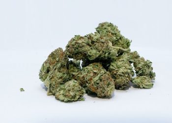 THC