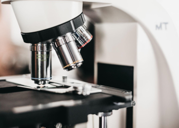 Your Guide to Histology: Life Science